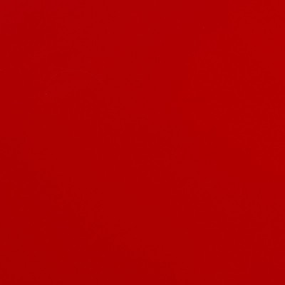 TB9186S - Rouge Rubis Satin 2